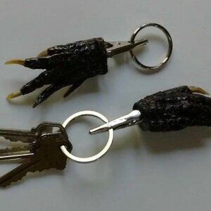 Louisiana Alligator Foot Claw Taxidermy with Alligator Clip and Key Ring 2"-3"